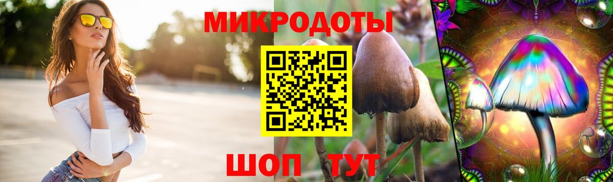 Псилоцибиновые грибы GOLDEN TEACHER  дарнет шоп  Узловая  Вход с VPN 